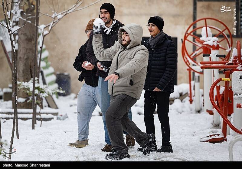 تهران برفی به روایت تصویر