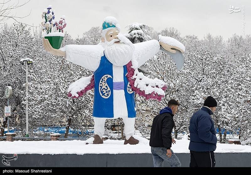 تهران برفی به روایت تصویر