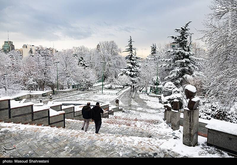 تهران برفی به روایت تصویر