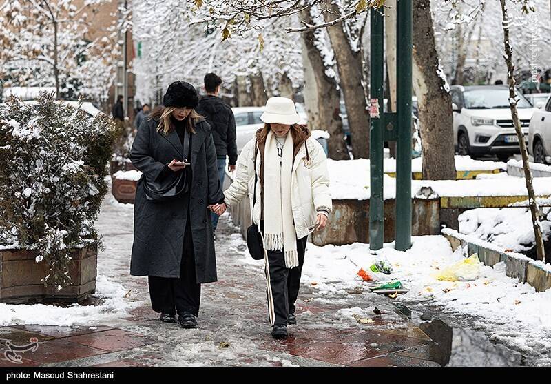 تهران برفی به روایت تصویر