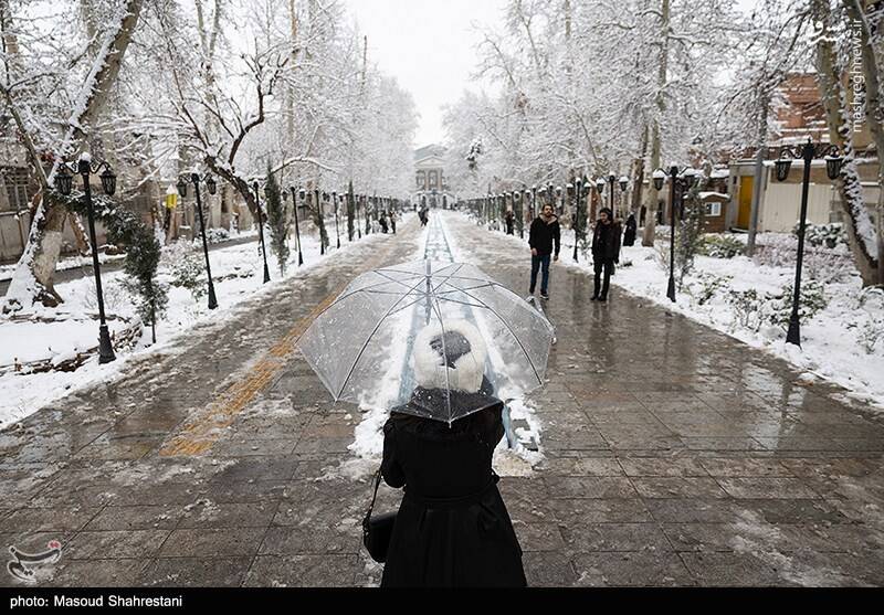 تهران برفی به روایت تصویر