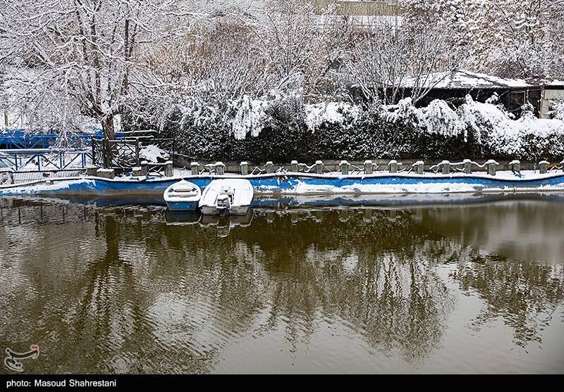 تهران برفی به روایت تصویر