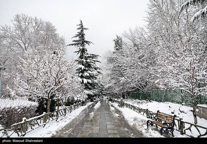 تهران برفی به روایت تصویر