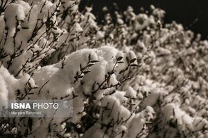 کاهش محسوس دما در اغلب مناطق کشور / ورود سامانه بارشی جدید از جمعه