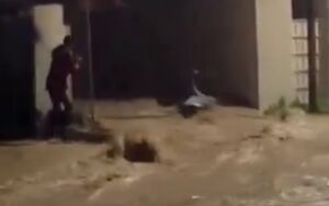 فیلم/ سیل شدید در تونس ۴ کشته بر جای گذاشت