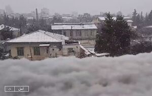 فیلم/ بارش زیبای برف در آمل