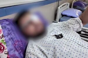 ناگفته‌هایی از اسلحه‌کشی ‌اغتشاشگران به روی مردم‌