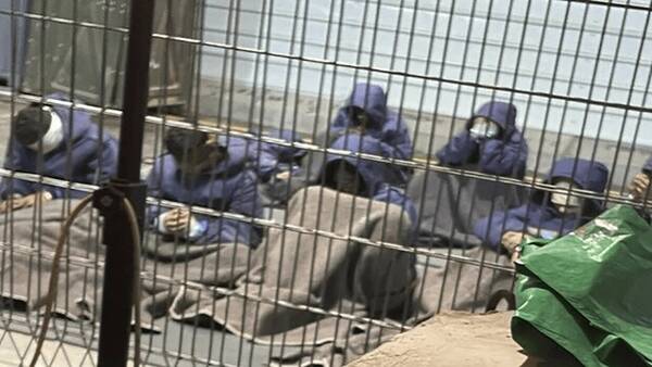 شکنجه و آزار جنسی گسترده در زندان‌های اسرائیل