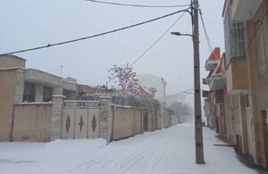 فیلم/ بارش برف در کرمانشاه