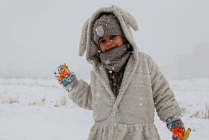 شادی برفی در کرمانشاه