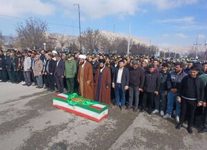 عامل شهادت آرمین عباسی دستگیر شد