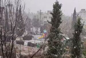 فیلم/ بارش زیبای برف در شیراز