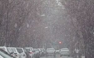 بارش زیبای برف جدر آباده فارس