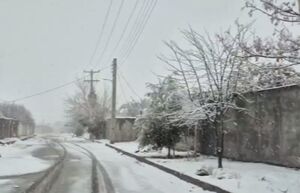 غافلگیری برفی در هرمزگان!