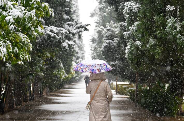 هواشناسي،بارش،گزارش،سازمان
