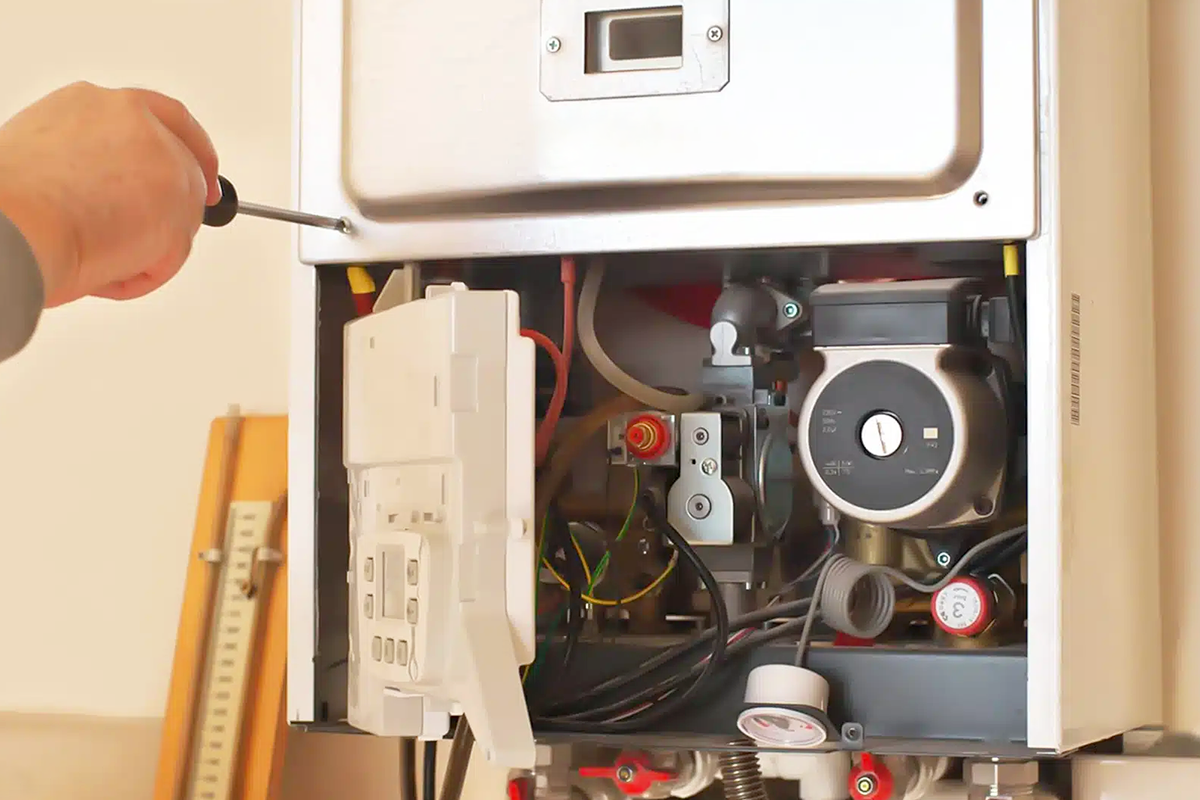 بهترین زمان مصرف قهوه گانودرما دکتر بیز