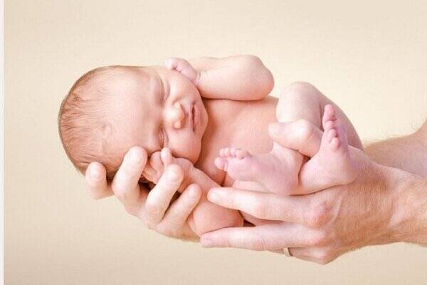 مصرف،مواد،توصيه،غذايي،دليل،باردار،زعفران،بارداري،غذاهاي