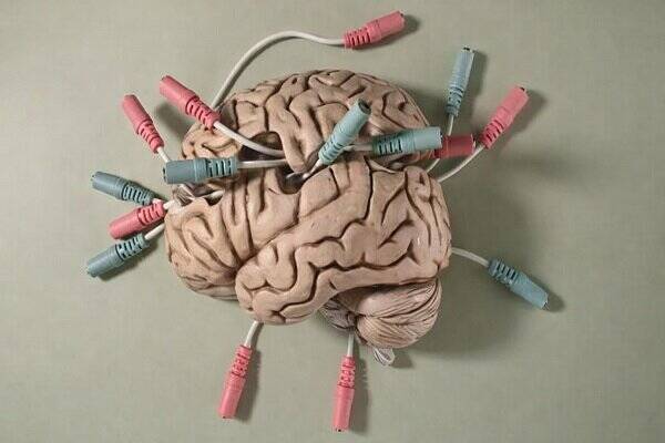 دوپامين،مغز،حسگري،الكترون،انتقال،گرافن،الكتروشيميايي،تداخل،ا ...