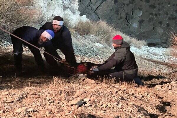 حادثه،محل،سرنشين،سقوط،جاده،ملكي،اورژانس،دره،عمق،خودروي،سخنگو ...