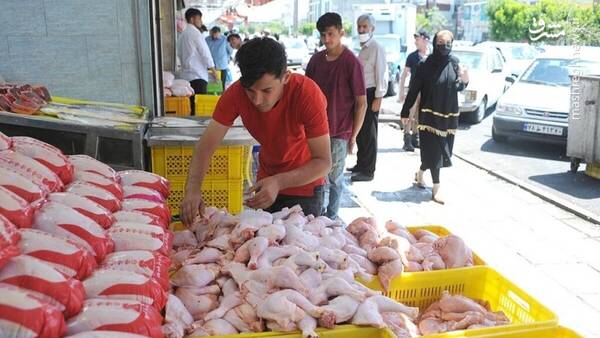 مرغ،قيمت،تومان،افزايش،توليدكنندگان،كاهش،كيلويي