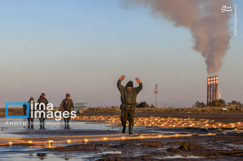 عکس/ صید ماهی در خزر