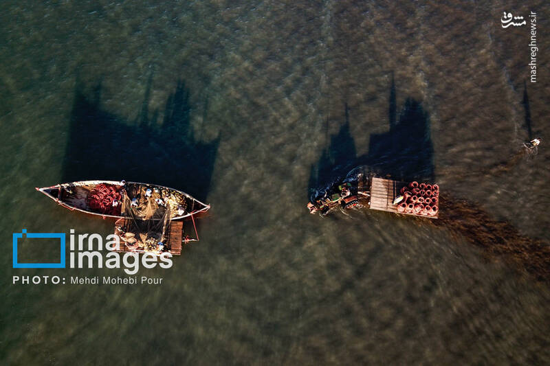 عکس/ صید ماهی در خزر