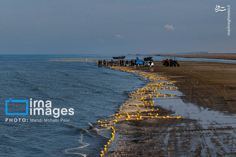 عکس/ صید ماهی در خزر