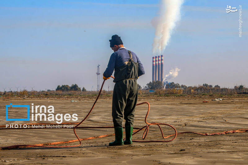 عکس/ صید ماهی در خزر