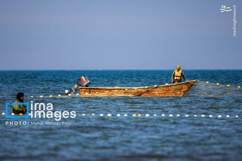 عکس/ صید ماهی در خزر