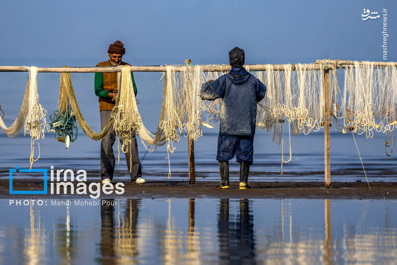 عکس/ صید ماهی در خزر