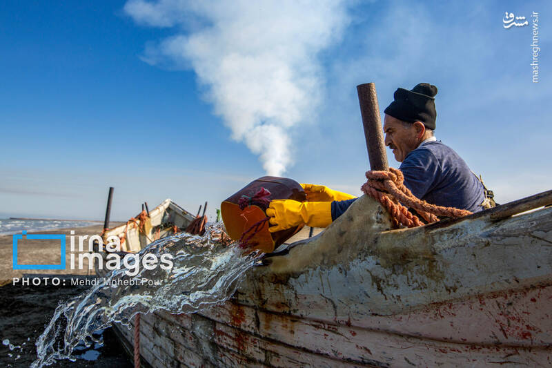 عکس/ صید ماهی در خزر