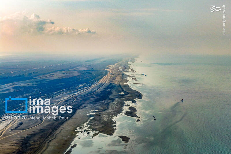 عکس/ صید ماهی در خزر