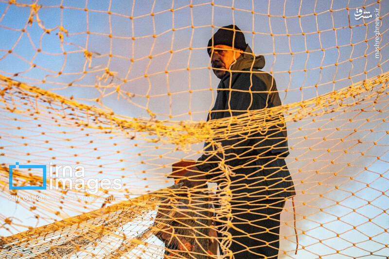 عکس/ صید ماهی در خزر