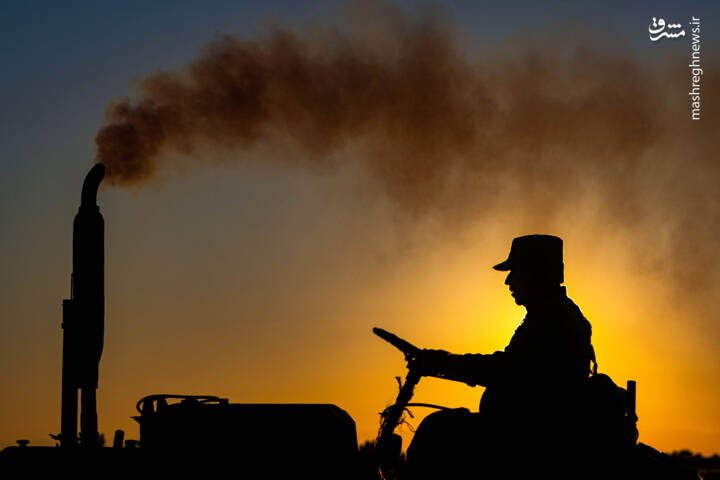 استخواني،ماهيان،صيد،اواسط