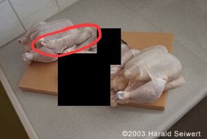 نوزاد در پرونده اپستین!