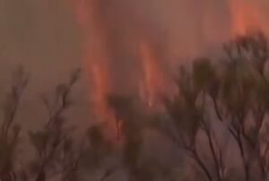 آتش‌سوزی گسترده در آرژانتین