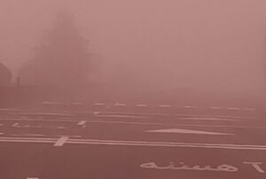 فیلم/ مه گرفتگی شدید در چابکسر و رامسر