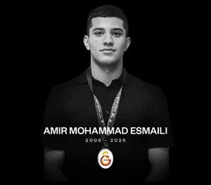 ملی‌پوش جوان واترپلوی ایران درگذشت