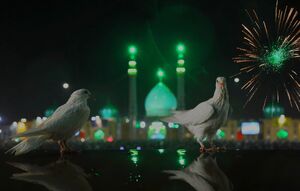 حال و هوای مسجد جمکران در شب نیمه شعبان