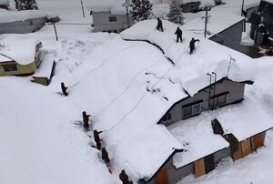 برف‌روبی در ژاپن ده‌ها کشته برجا گذاشت!