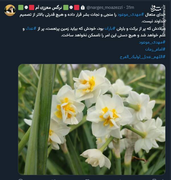 واکنش کاربران فضای مجازی به وعده انتظار در روز نیمه شعبان