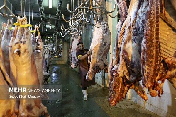 گوشتي،كالباس