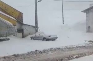 فیلم/ بارش سنگین برف در هراز