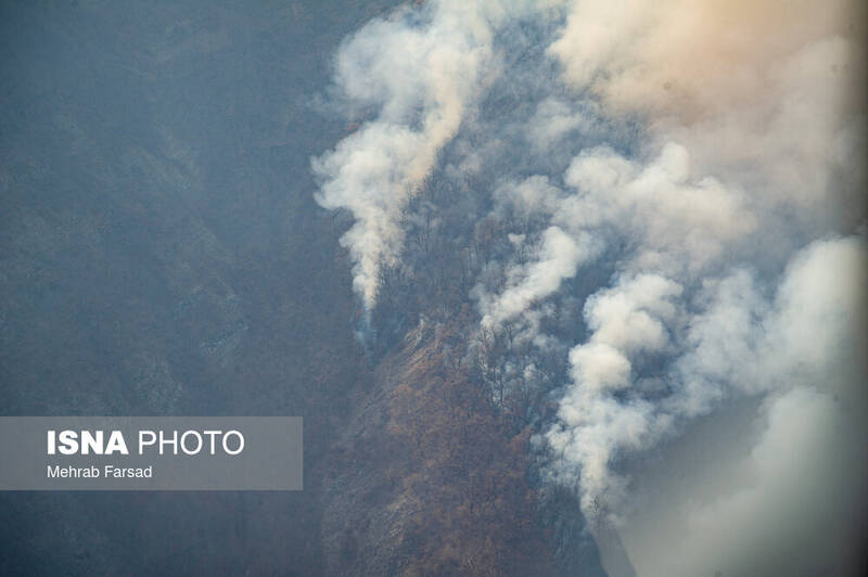 اقليمي،تغييرات،افزايش،پيامدهاي،جنگل،شمال،كشور،عوامل،جنگلي،گي ...