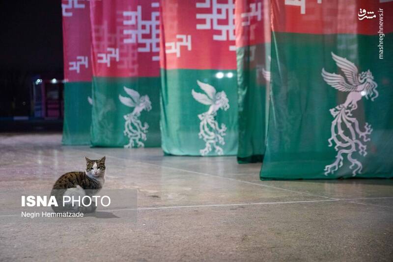 حواشی هشتمین روز چهل‌وچهارمین جشنواره فیلم فجر