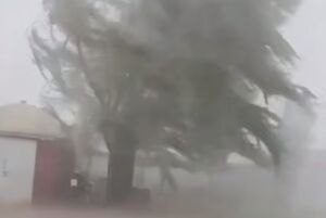 طوفان و سیل شدید برزیل را درنوردید