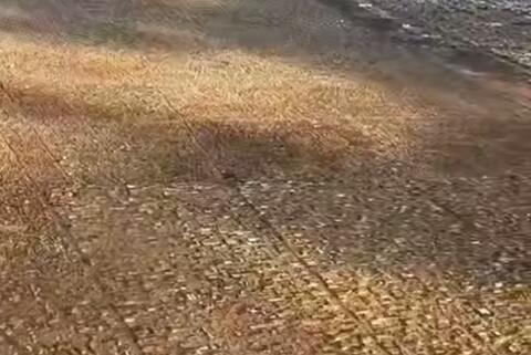 تصاویر هوایی از بزرگترین قبرستان در جهان