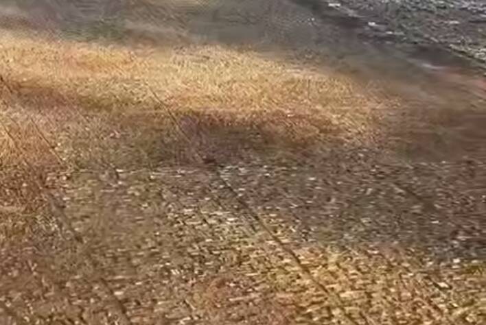 قبرستان،نجف