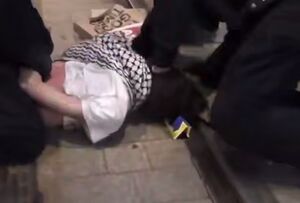 حمله خشونت‌آمیز پلیس استرالیا به حامیان فلسطین در سیدنی