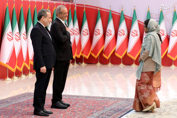 عکس/ مراسم رسمی سلام سفراء به رئیس جمهور